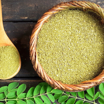 Moringa olejodárná – strom života i pramen mládí