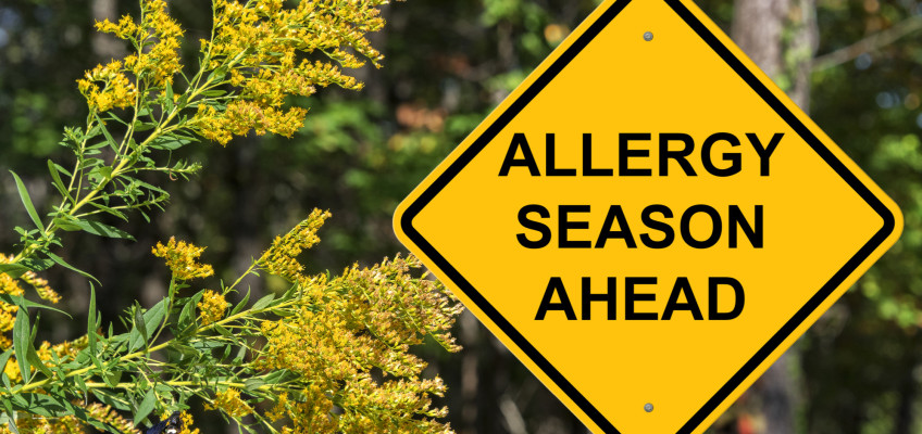 Jaro klepe na dveře, připravte se na každoroční boj s alergií