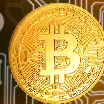 Bitcoin se stává novým standardem. Jak si vedou ostatní kryptoměny?