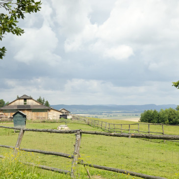 Myslete na svoji chatu i mimo sezónu. Pojištění rekreačního objektu se vyplatí