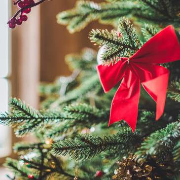 První adventní víkend klepe na dveře, přichystejte si vánoční výzdobu