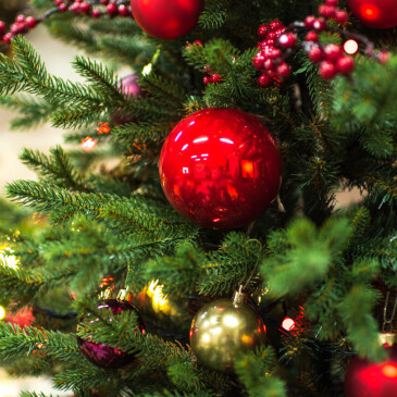 Letošní Vánoce ovládnou světlé barvy, jaké zvolit dekorace?