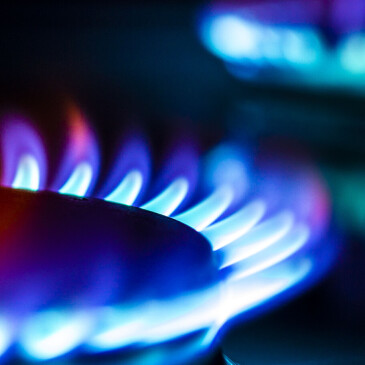 Hledáte nového dodavatele energií? S Lama Energy to zvládnete i online