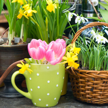 DIY návod. Vyrobte si jarní kvítka z obyčejného plata od vajec