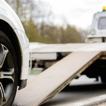 Nejlevnější je nejlepší aneb fámy a mýty o havarijním pojištění