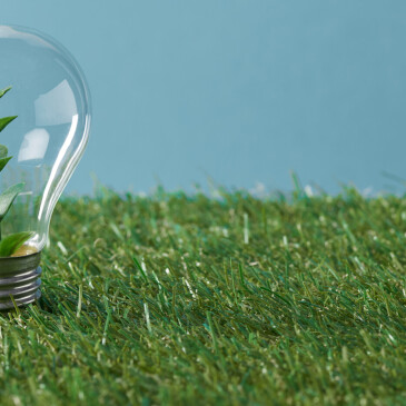 Zelená energie získává na popularitě, i kvůli vysokým cenám za plyn a elektřinu