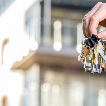 Na byty k pronájmu čekají desítky zájemců, jak najít toho pravého?