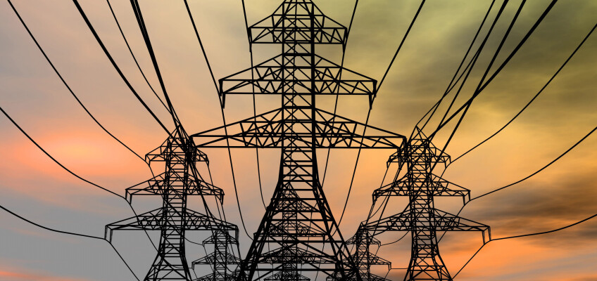 Lidé čím dál více preferují flexibilitu a volí energetické tarify bez závazku