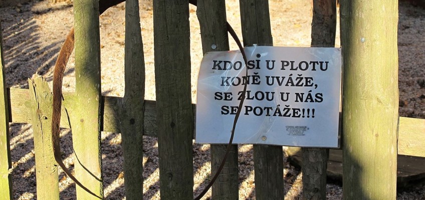 Konec školního roku je tu: Kam vyrazit s dětmi za odměnu?