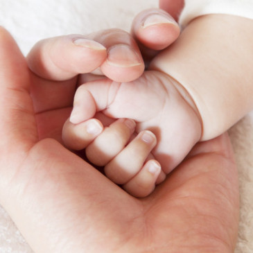 Neberte životní pojištění na lehkou váhu, může vám vytrhnout trn z paty