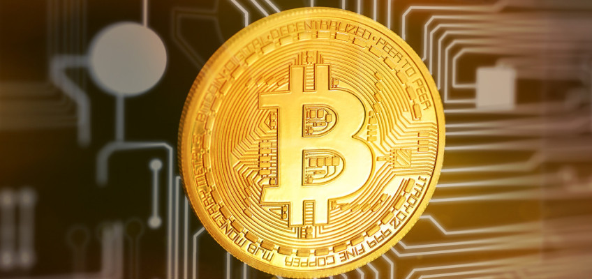 Bitcoin se stává novým standardem. Jak si vedou ostatní kryptoměny?