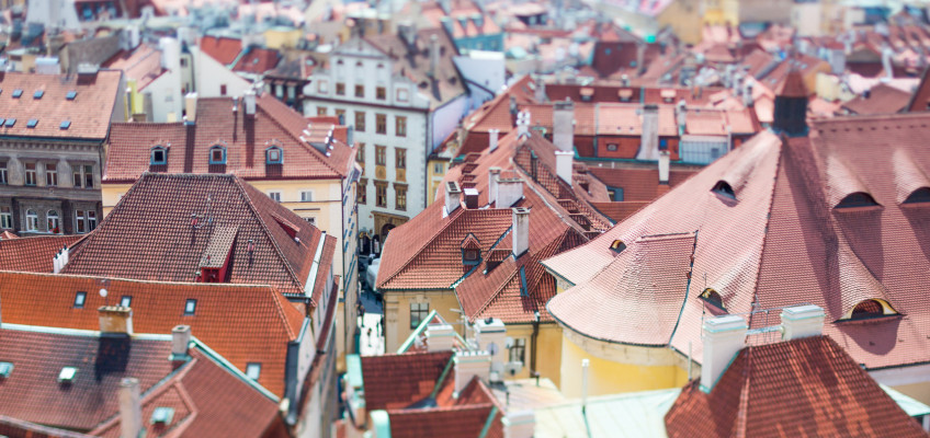Hledání solidního nájemníka je hlavně o prověřování. Co když ale šlápnete vedle?