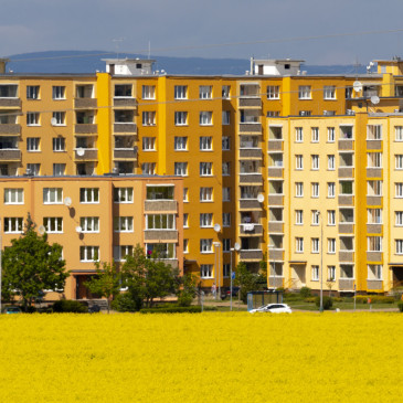 Ceny nemovitostí, práce nebo občanská vybavenost. Co je pro Čechy nejdůležitější?