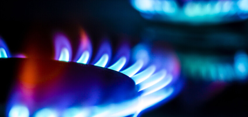 Hledáte nového dodavatele energií? S Lama Energy to zvládnete i online