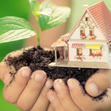 4 tipy pro zelenější domácnost