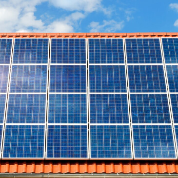 Dotace na fotovoltaiku. Co byste o nich měli vědět