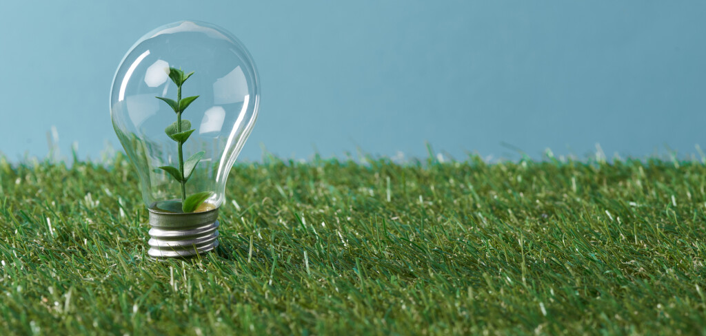 Zelená energie získává na popularitě, i kvůli vysokým cenám za plyn a elektřinu