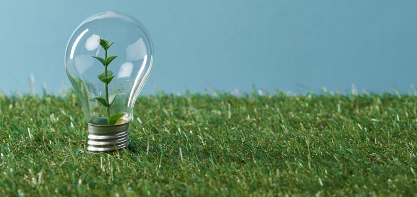 Zelená energie získává na popularitě, i kvůli vysokým cenám za plyn a elektřinu