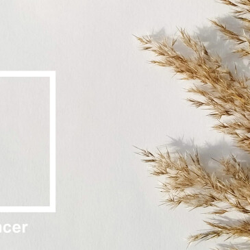 Cloud Dancer v interiéru: Jak pracovat s bílou barvou, aby nebyla sterilní